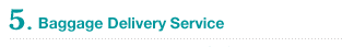 5. Baggage Delivery Service