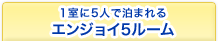 1室に5人で泊まれる　エンジョイ5ルーム